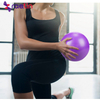Best Gym Equipment Anti-burst Fitness Exercise Stability Yoga Pilates Ball 