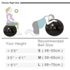 Customized PVC Soft Yoga Pilates Swiss Ball Exercise 