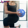 Exercise Yoga Pilates Ball Stability Swiss Ball with Pump